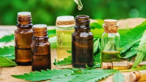 best CBD oil