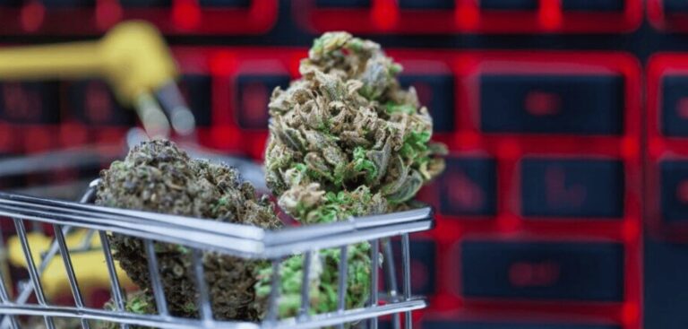 What to Know Before Ordering Marijuana from an Online Dispensary 